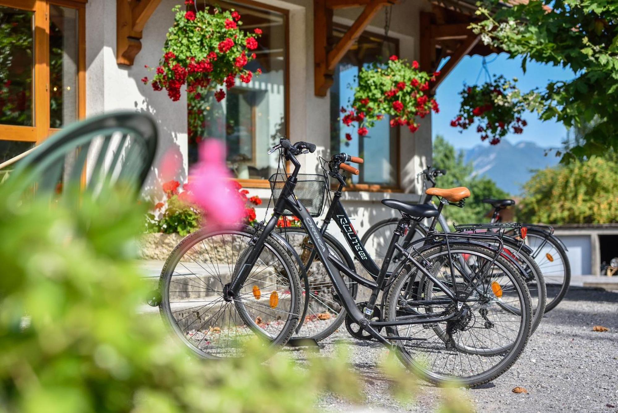 L'Arcalod & Bistrot Jeanne - Lac D'Annecy - Hotel Restaurant Spa Doussard Exterior foto